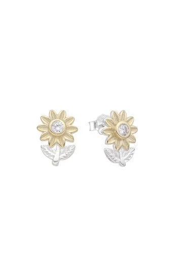 Aros de Girasol