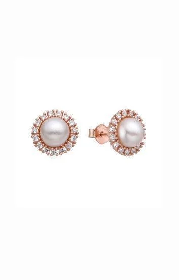 Aros de Perla Sintetica y Circones